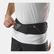 Picture of SALOMON PULSE BELT